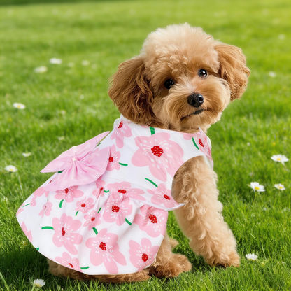 Dog Dress Cute Dog Skirt Pet Dress Summer Pet Clothes for Puppy Small Cats