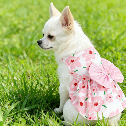 Dog Dress Cute Dog Skirt Pet Dress Summer Pet Clothes for Puppy Small Cats